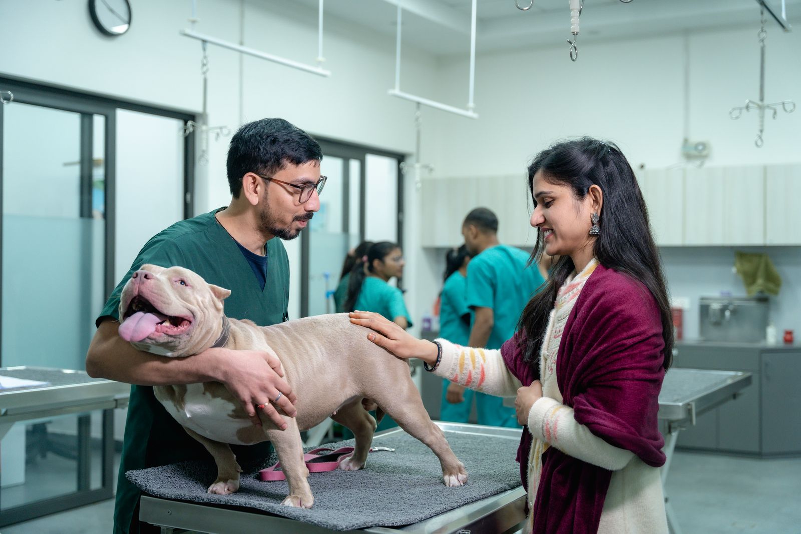 Atendimento cuidadoso em uma clínica veterinária